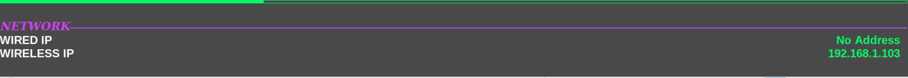 显示IP的示例图像